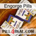 Engorge Pills 12